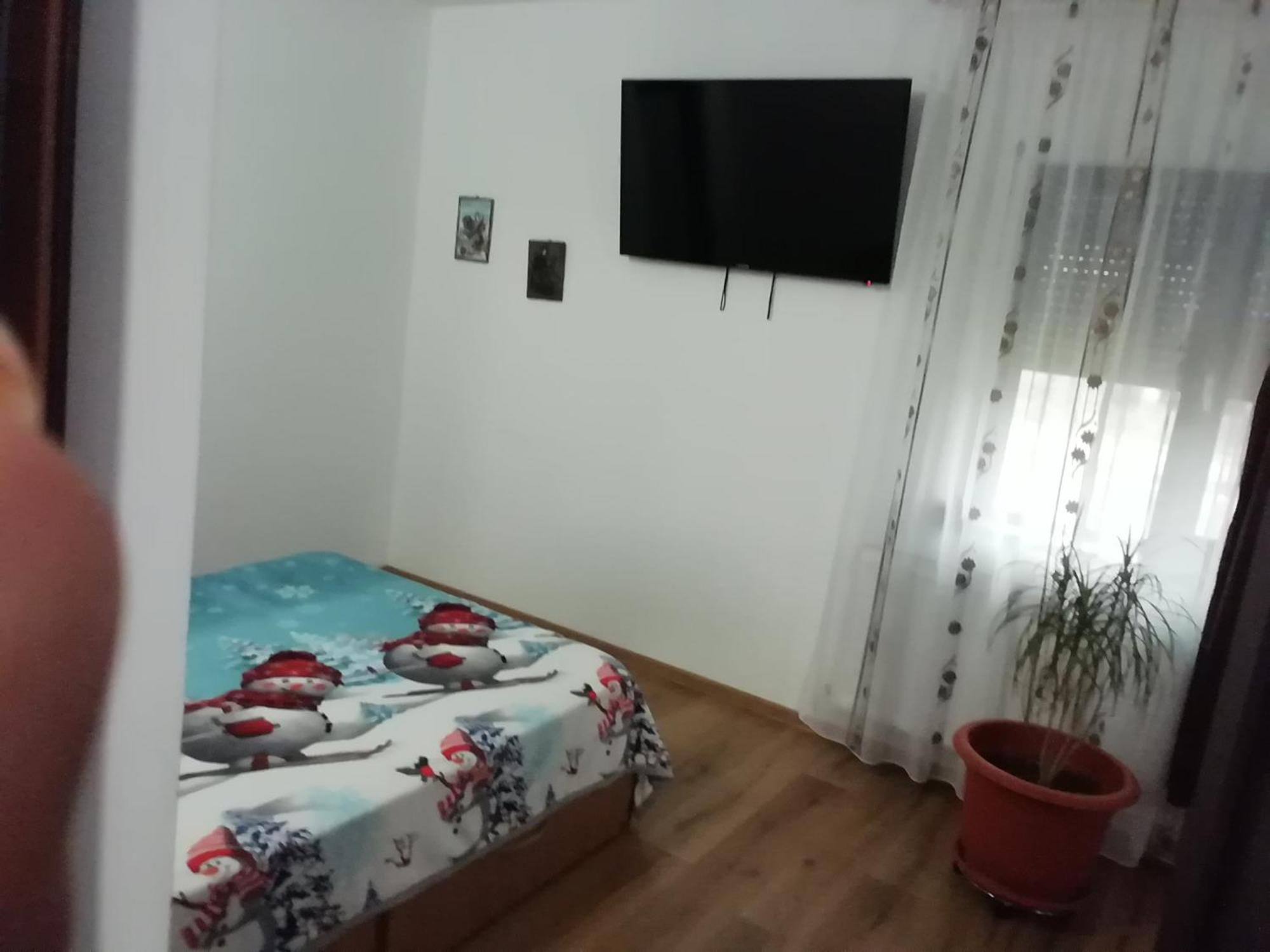 Adelina Διαμέρισμα Schitu Εξωτερικό φωτογραφία